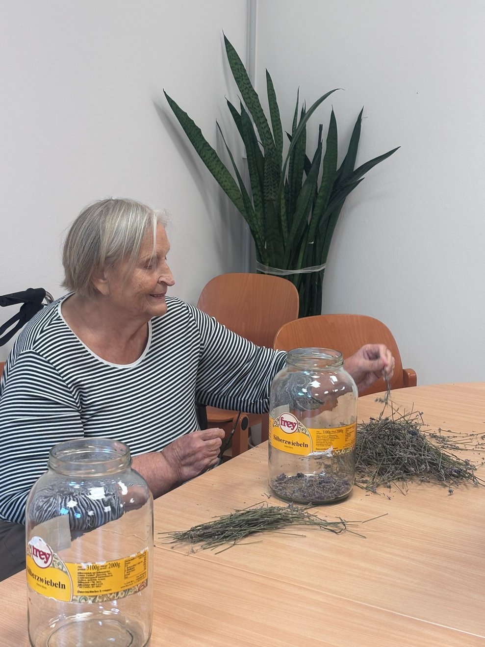 Bewohnerin nimmt Lavendel.
