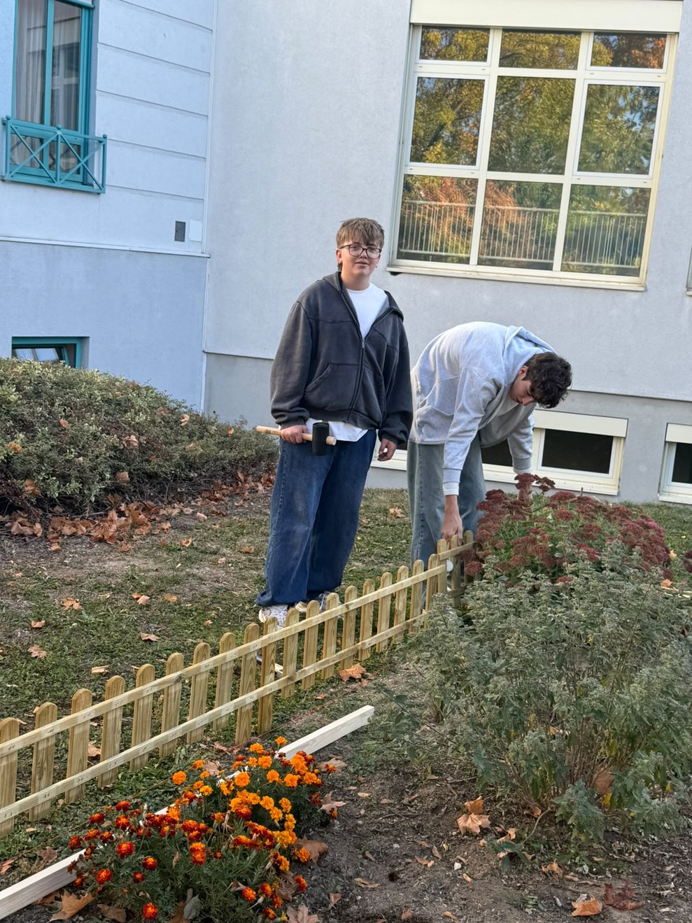 Lehrer und zwei Schüler stellen Holzzaun um das Blumenbeet in unserem Garten auf.