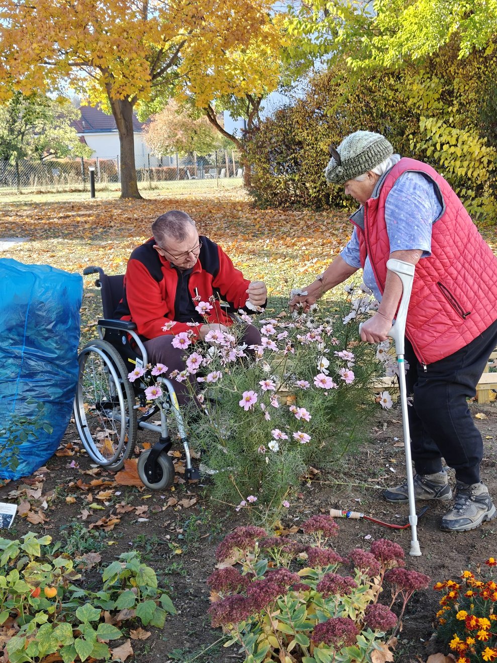 Bewohnerin und Bewohner zupfen verblühte Blumenköpfe ab.