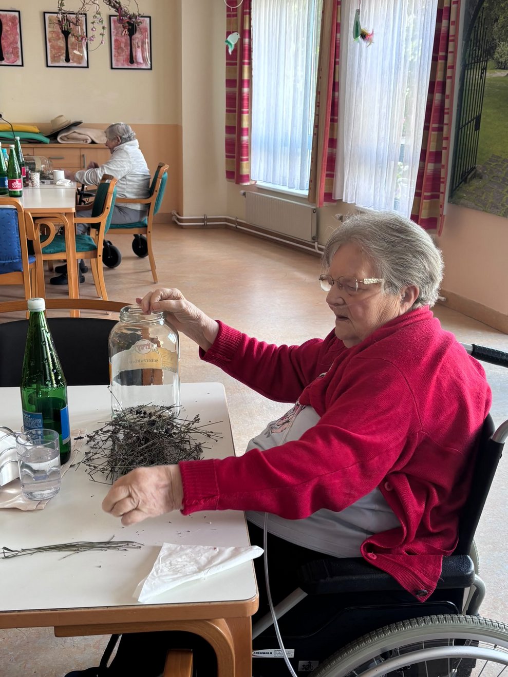 Bewohnerin rebelt Lavendel ab.