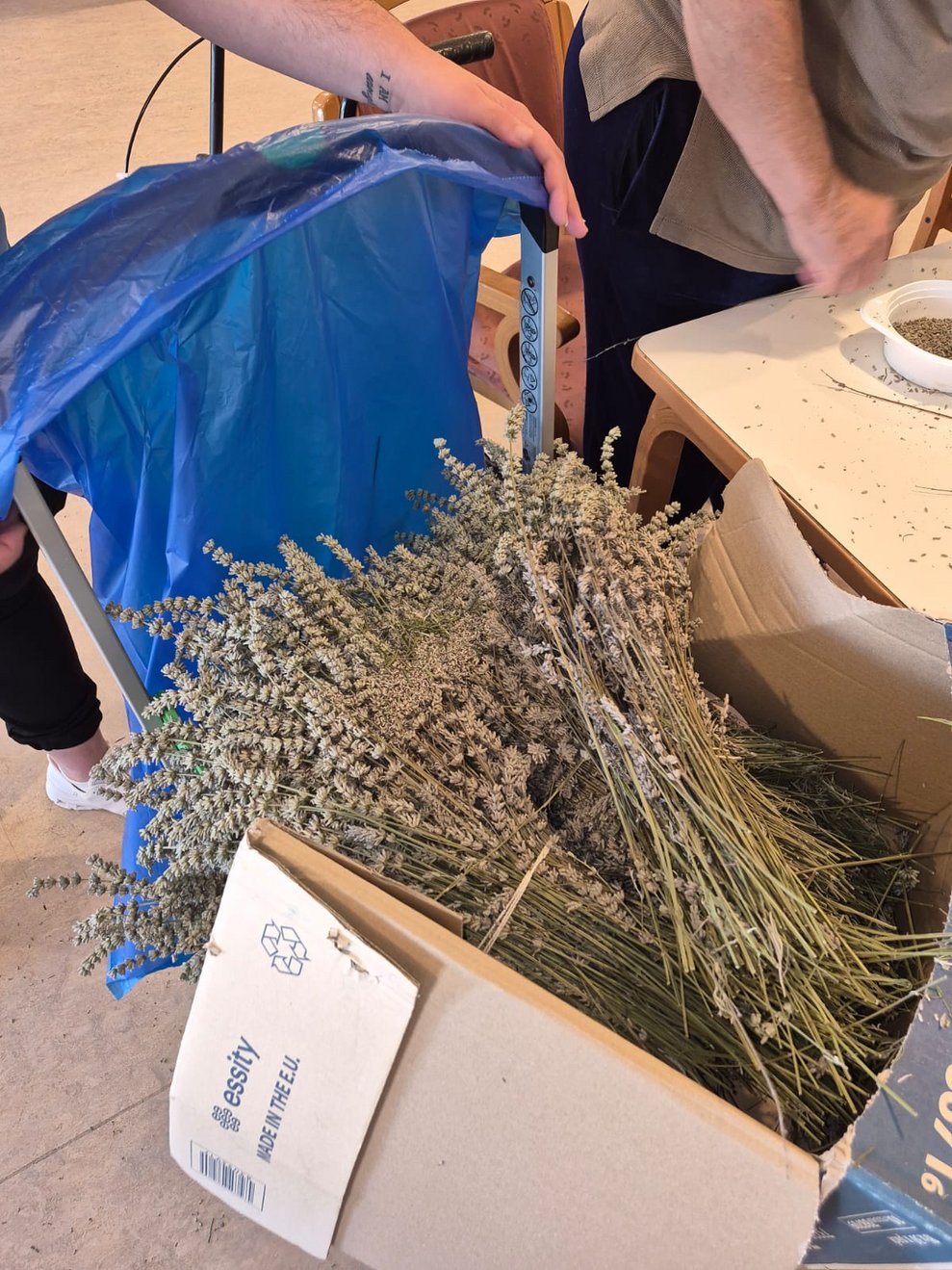Lavendel in Schachtel.
