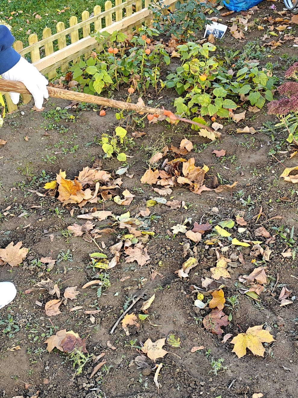 Rechen in der Hand und das Laub wird im Bauerngarten zusammengerechet.