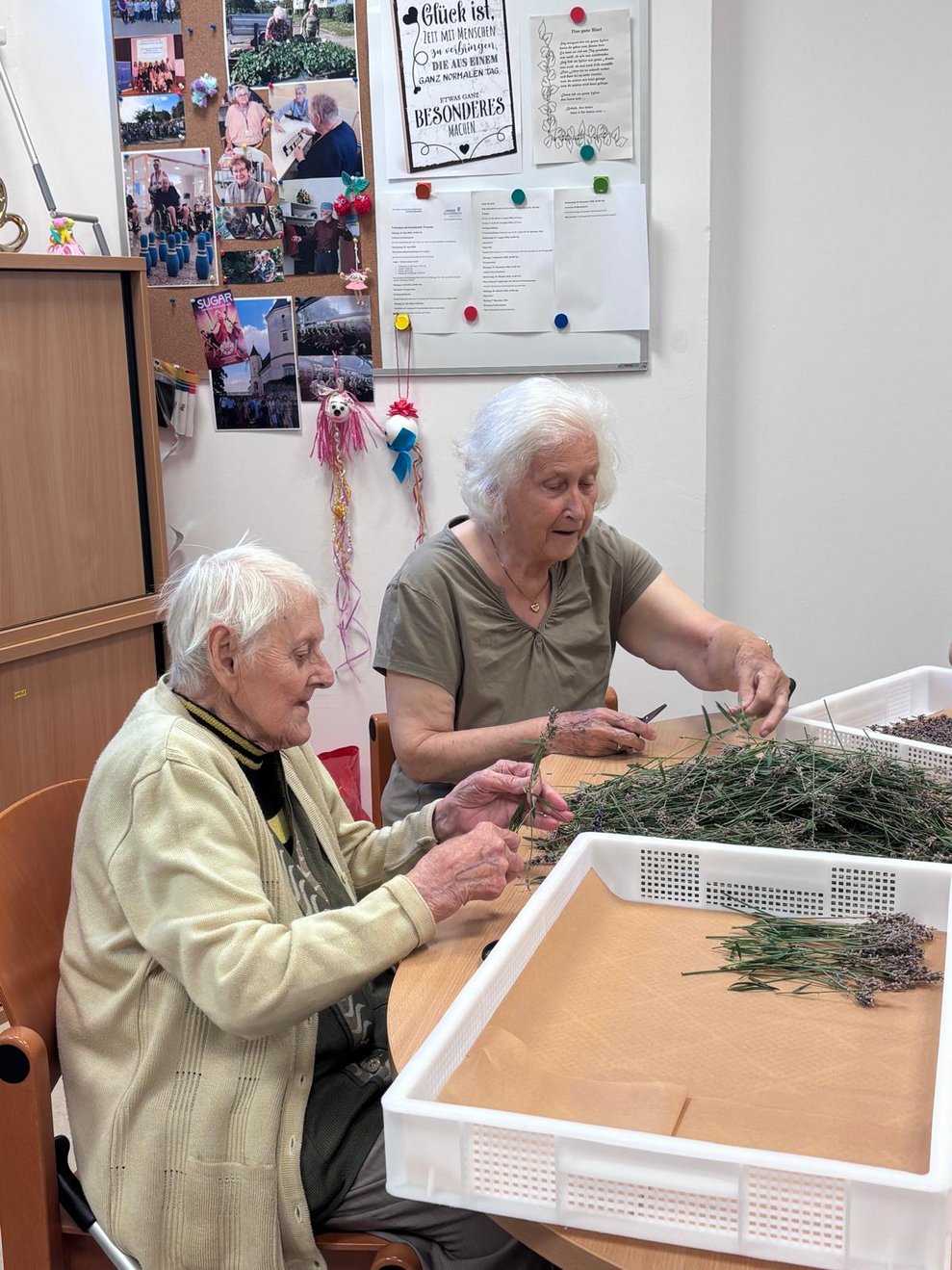 Zwei Bewohnerinnen rebeln Lavendel ab.