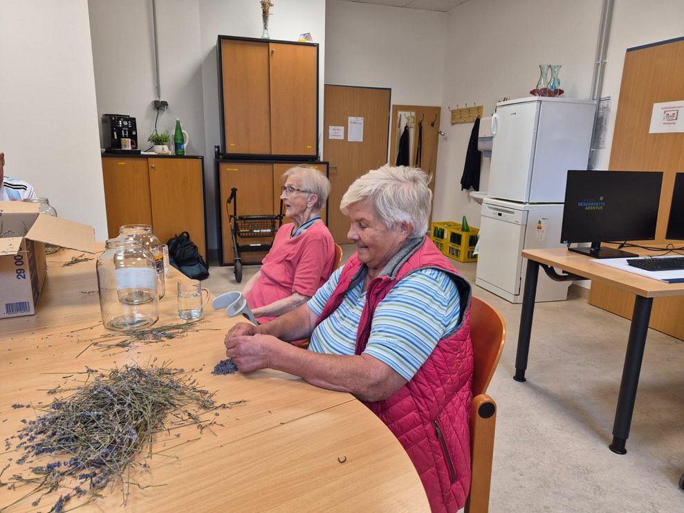 Zwei Bewohnerinnen rebeln Lavendel ab.