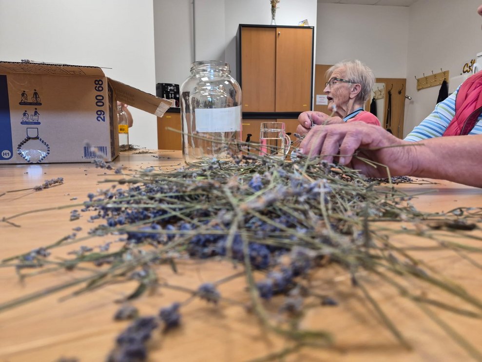 Lavendel liegt auf Tisch.