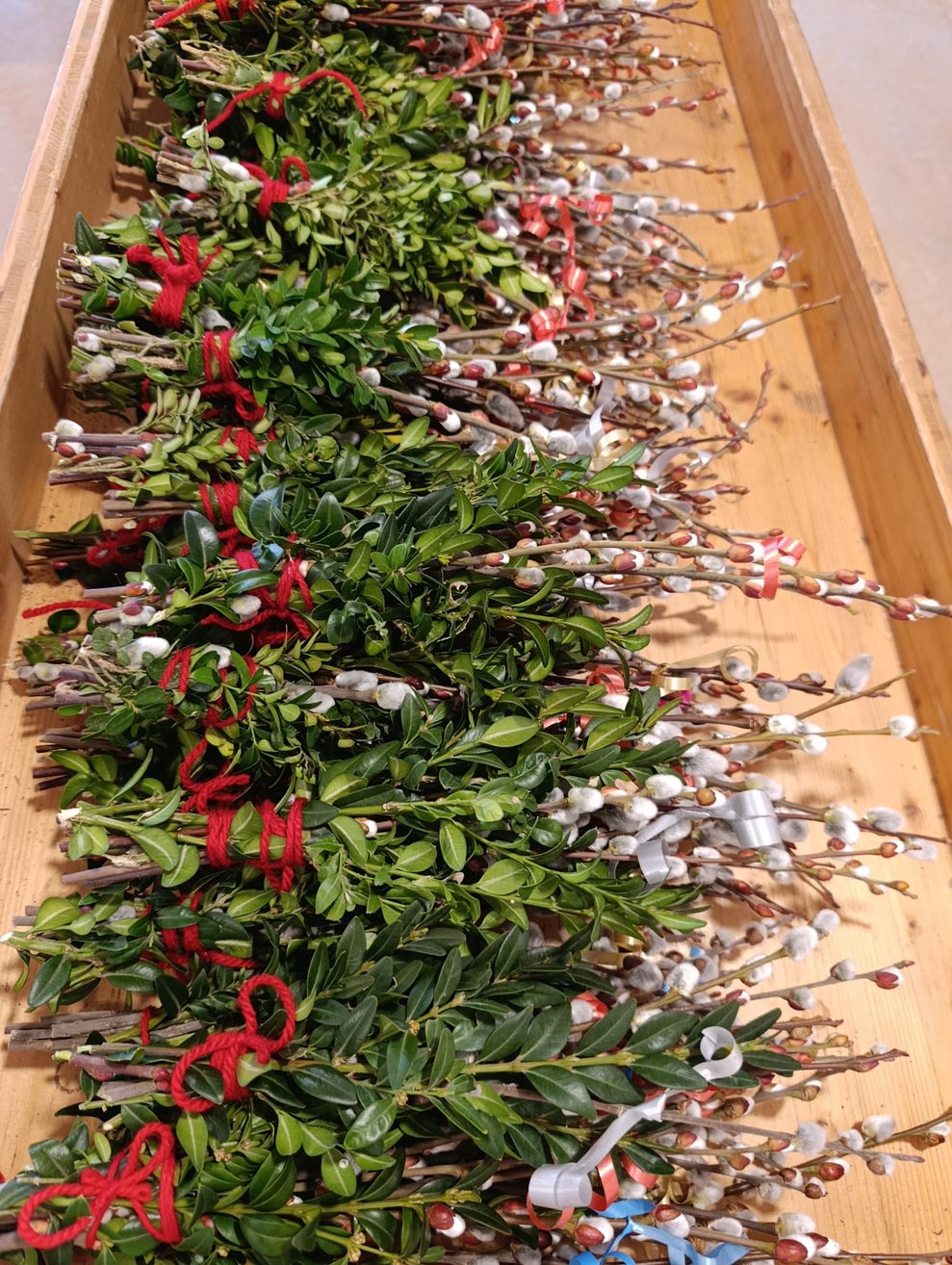 Viele gebundene Palmbuschen.